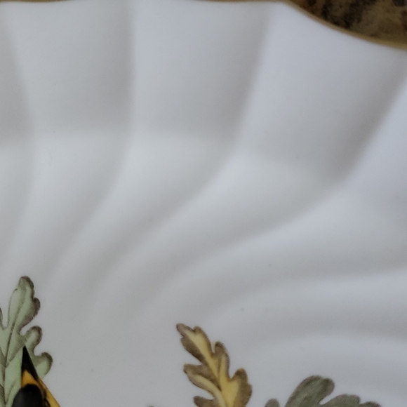 Collectible Bird Plate - Picture 3 of 5